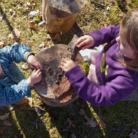 Taking Tea in Pogles' Wood