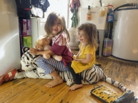 Two and the Tatty Tiger