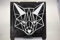 Fay's Fox