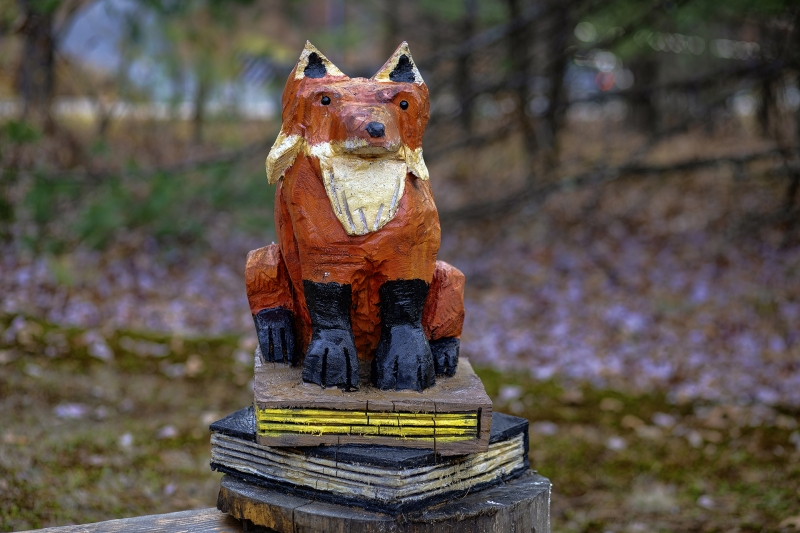 Well -Red Fox