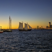 Gentle Escape from New York