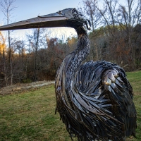 The Hybrid Heron