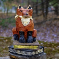 Well -Red Fox
