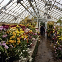 A Splash of Colour
