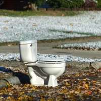 Curb Appeal