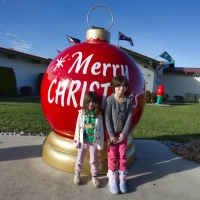 We're Going to Need a Bigger Tree