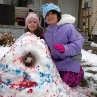 Snow Artists