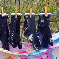 Oh What a Beautiful Morning