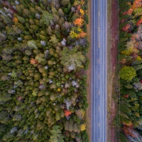 Upstate