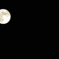 Old Moon