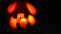 Pumpkin Fun