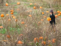 The Great Pumpkin Hunt of 08