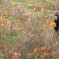 The Great Pumpkin Hunt of 08