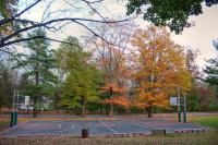The Basketball Court