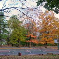 The Basketball Court