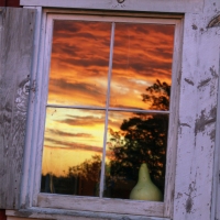 Fire in the Sky