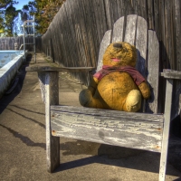 A Place in the Sun