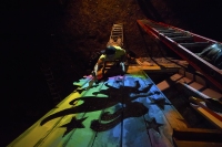 The Enchanted Forest