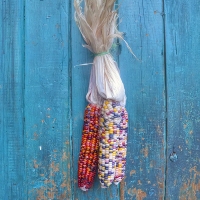 Corn Door