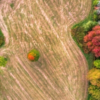 Fall Field