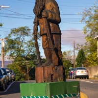 Old Woody