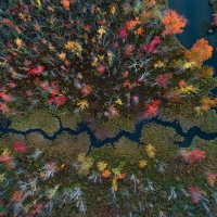 Autumnal Meanderings