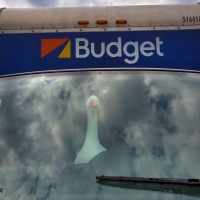 Goose Is My CoPilot