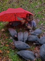 She's Spoiling Those Birds