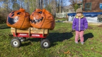 2020 Pumpkin Lookalike Contest