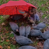 She's Spoiling Those Birds