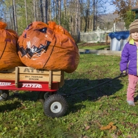 2020 Pumpkin Lookalike Contest