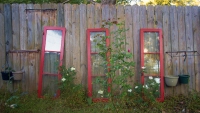 Window Whimsy