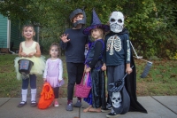 The Candy Crew