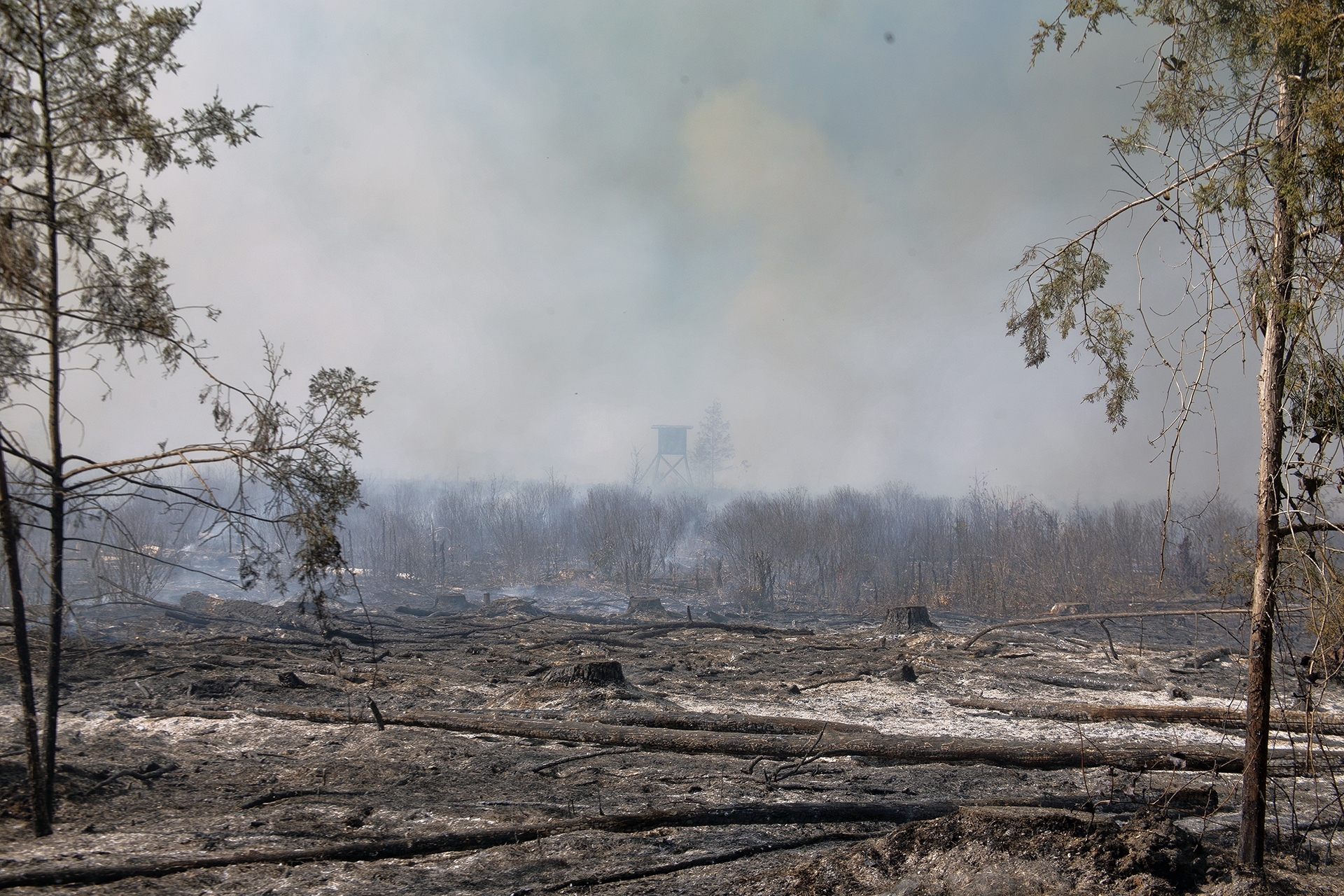 Prescribed Burn
