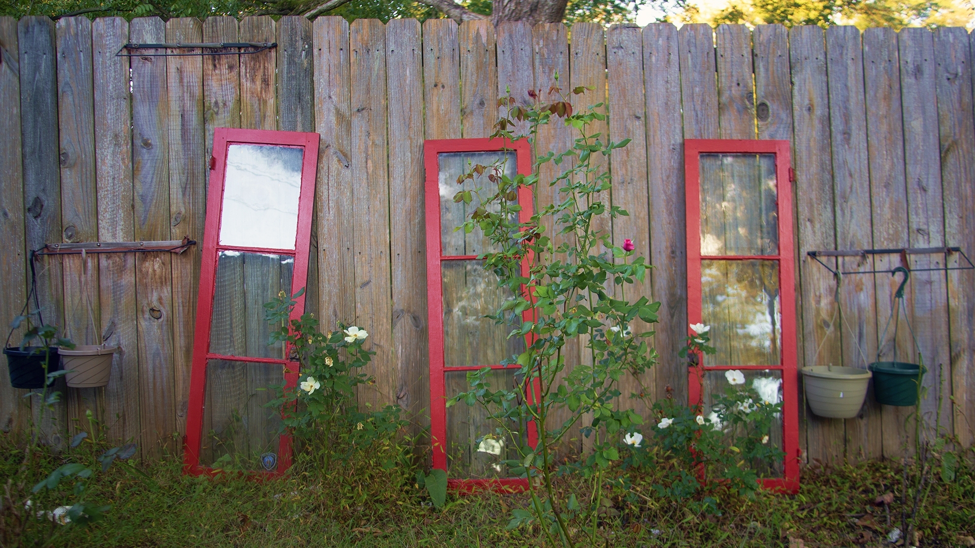 Window Whimsy