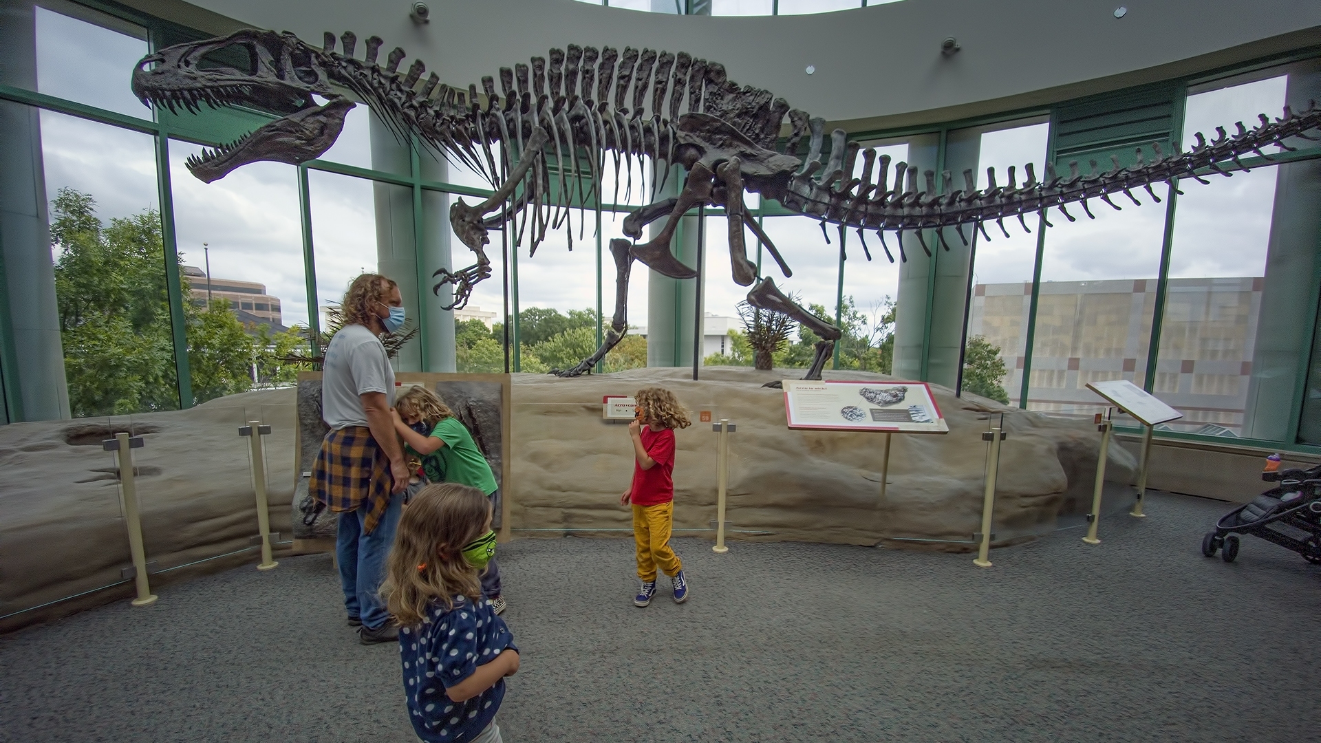 A Dinosaur