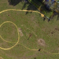 Corn Maze