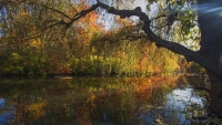Creekside