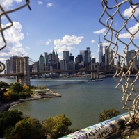 Escape from NY