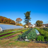 Upinngil Farm, MA