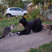 Meow You Doing?