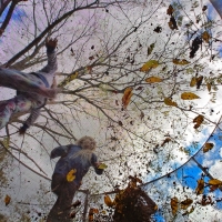 Fall Up