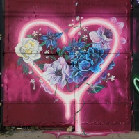 The Streets of Bushwick