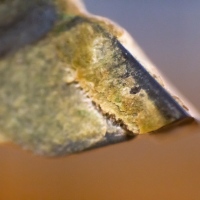 Saw Tooth