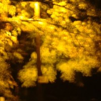 All's a Blur