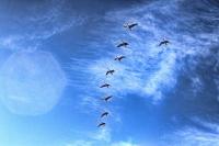 On the Move
