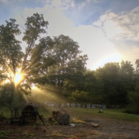 Early One Morning