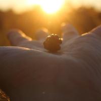 One In The Hand
