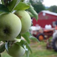 Farm Life