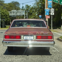 Caprice